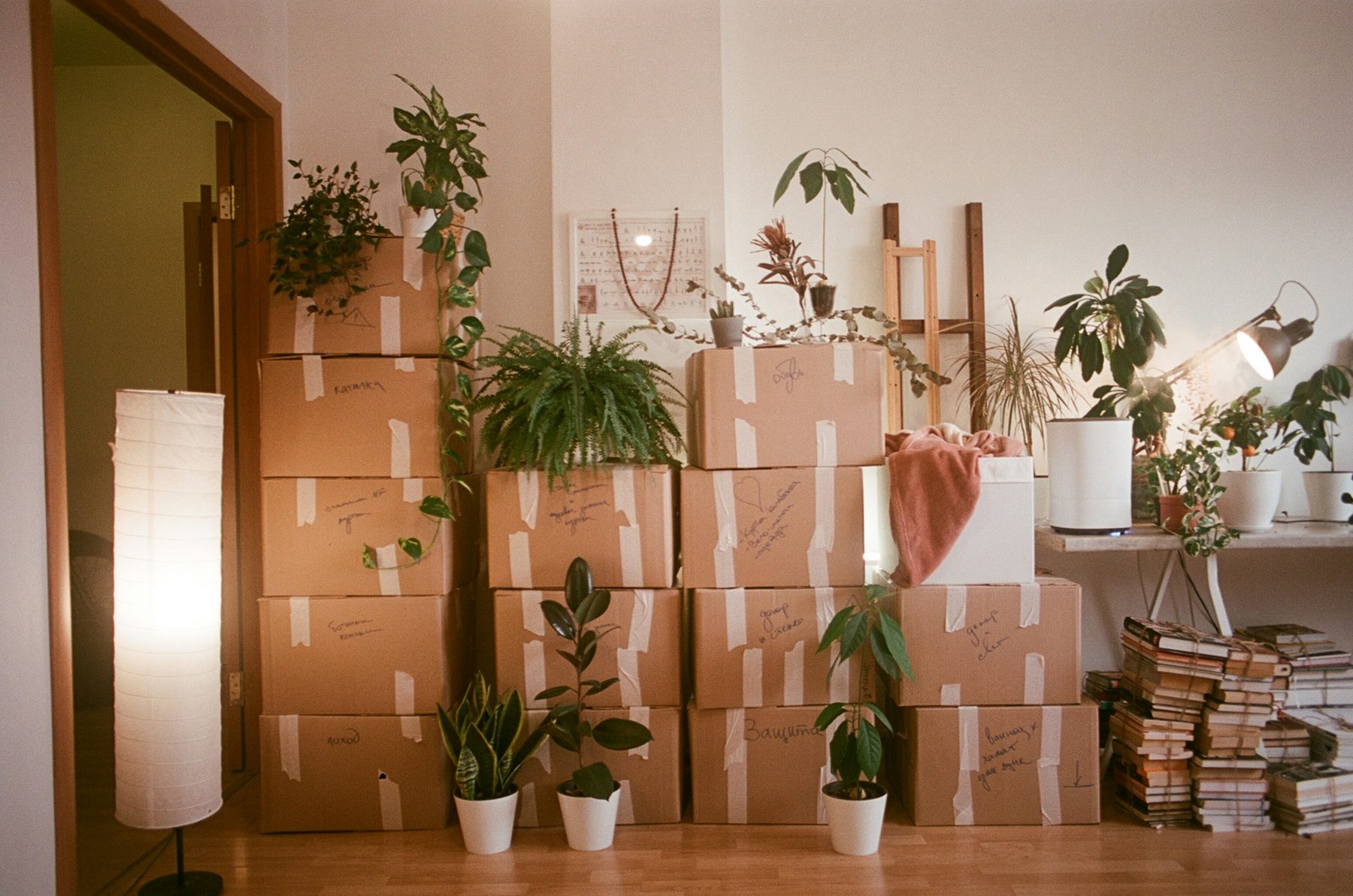 Cartons de déménagement dans un appartement, pour évoquer un changement de logement
